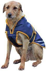 Cavallino Northampton Dog Coat