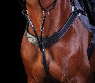 Collegiate Three Point Breastplate