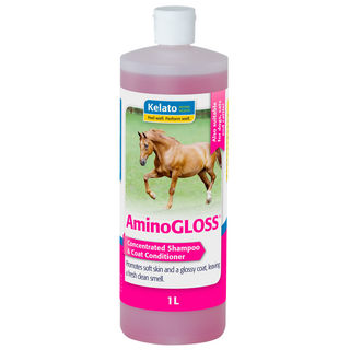 Amino Gloss Shampoo