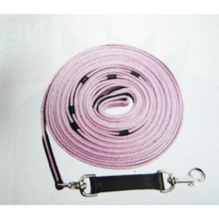 Kincade Web Lunge Rein with Billets and Clip