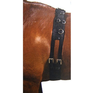 Kincade Deluxe Equi Grip Lunge Roller