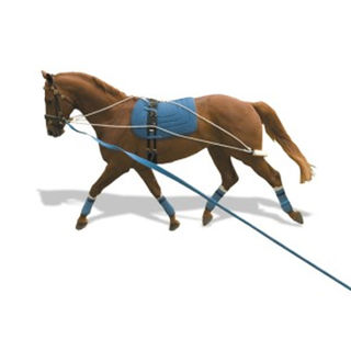 Lunging Training System