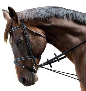 Elastic Chambon Training Strap