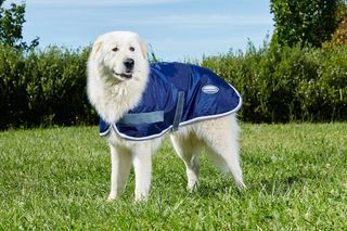 Windbreaker 420D Dog Coat