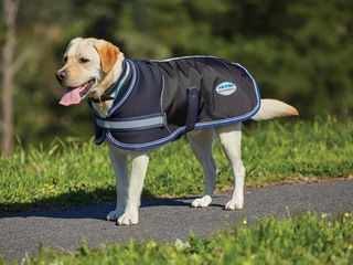 Parka 1680d Dog Coat
