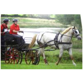 Tedex Driving Harness - Single