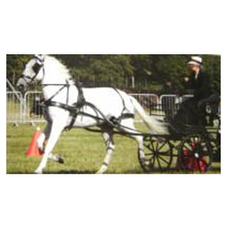 Classic Driving Harness - Single