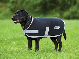 WeatherBeeta Therapy-Tec Fleece Dog Coat