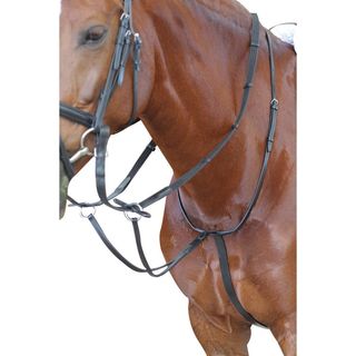 Kincade Running Martingale