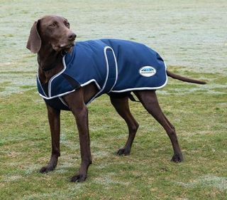 WeatherBeeta Comfitec Premier Free Parka Deluxe Dog Coat