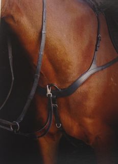 Collegiate Comfitec 5 Point Breastplate