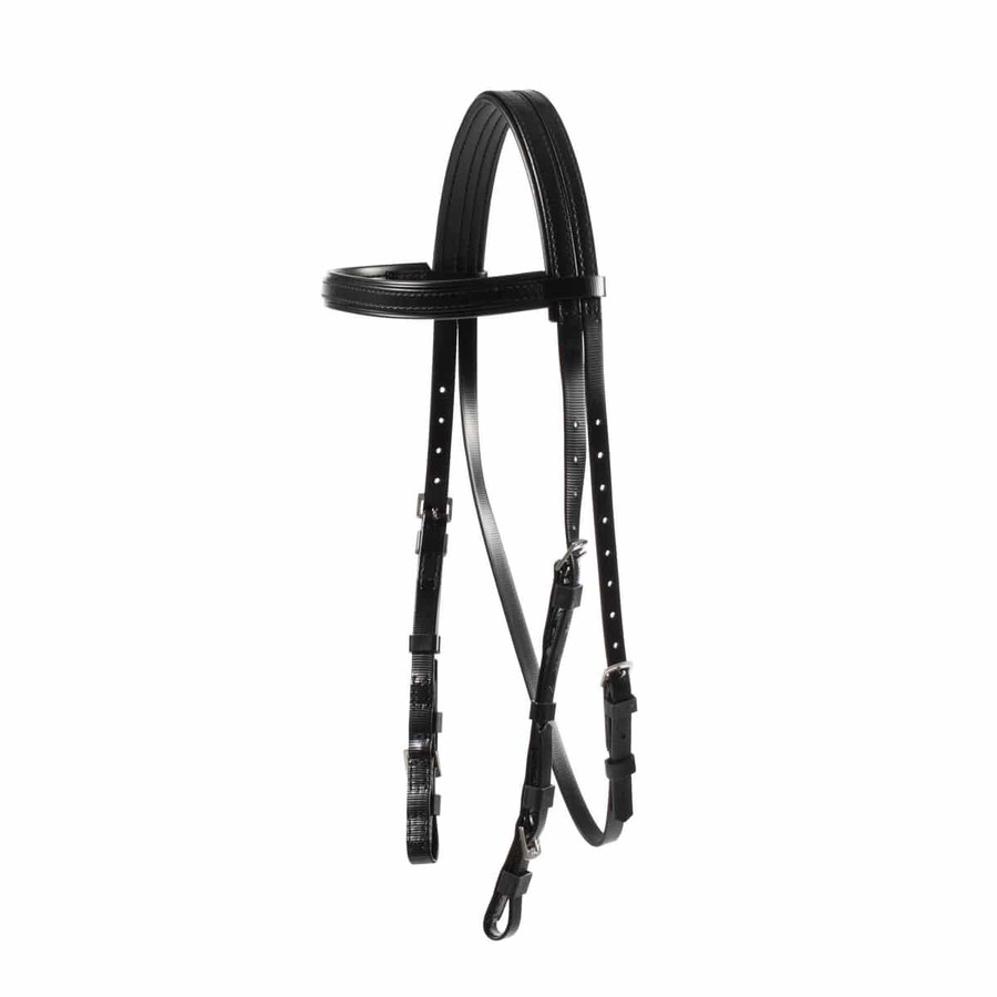 Exercise Bridle
