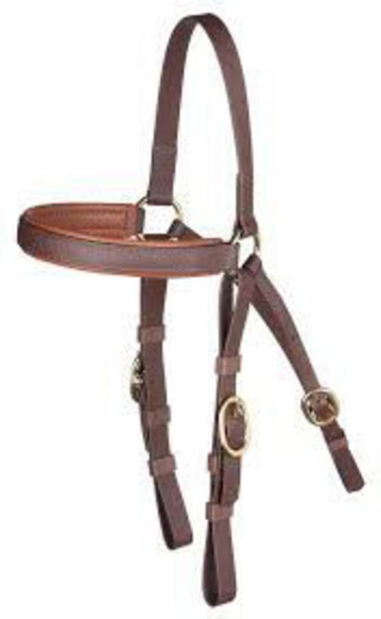 Barcoo Synthetic Bridle