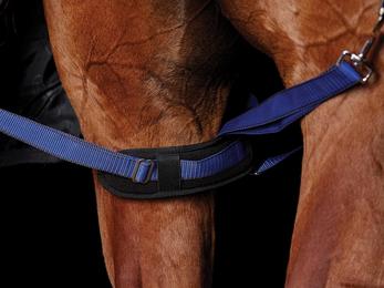 WeatherBeeta Padded Leg Straps