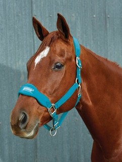 Roma Fleece Shaped Headcollar