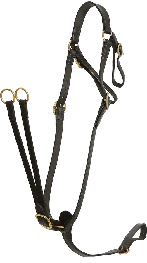 Flair Heavy Duty Martingale Breastplate