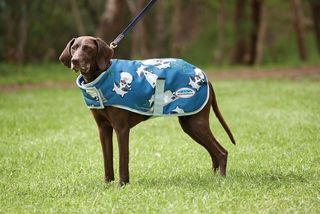 WeatherBeeta Comfitec Premier Free Parka Dog Coat