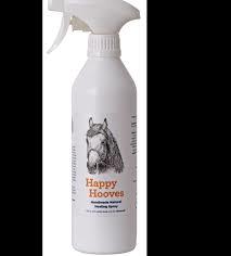 Head to Hoof Healing Spray