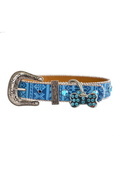 PW Stevie Dog Collar