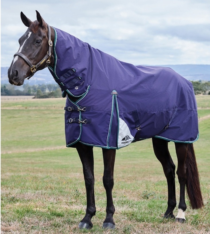Weatherbeeta Comfitec Plus Dynamic Combo 100G