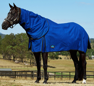 Weatherbeeta Unlined Canvas Combo