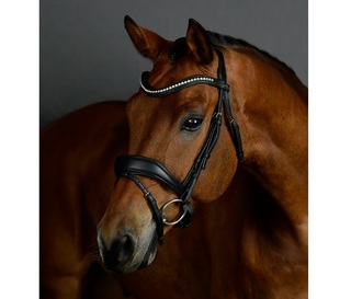 Collegiate Comfitec Opulux Padded Dressage Bridle