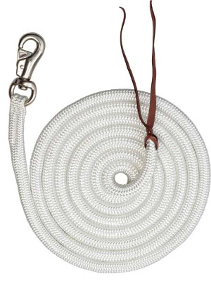 Training Lead - Bull Snap