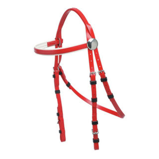  Rosette Race Bridle 