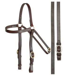 Platinum Barcoo Bridle
