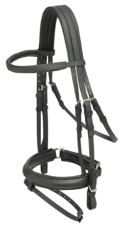 Dressage Bridle