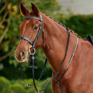 Kincade Running Martingale