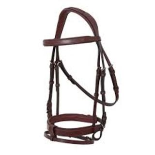 Platinum Signature Classic Bridle
