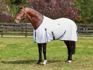 WeatherBeeta Summer Sheet - Rug