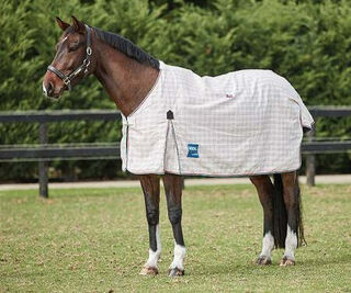 Kool Coat Cotton II - Rug