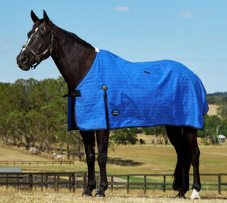 Weatherbeeta Lined Canvas Standard