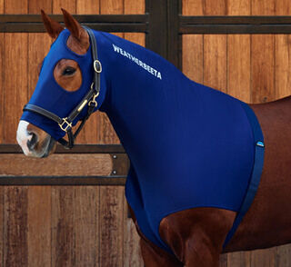 Weatherbeeta Stretch Hood with Zip