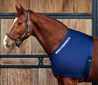 Weatherbeeta Stretch Shoulder Guard