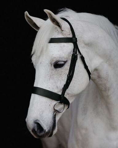 Platinum Signature Show Bridle