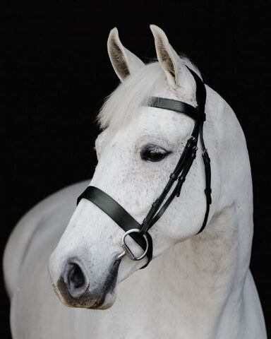 Platinum Signature Show Hunter Bridle