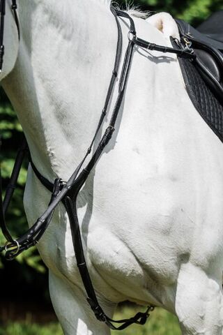 Platinum Martingale Breastplate