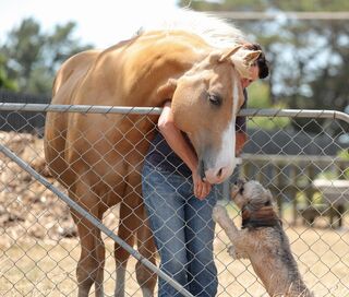 My homebred boy & Teddy