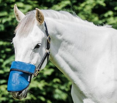 Flair Sola Shade Nose Guard