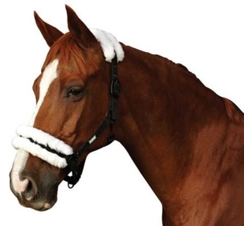 Roma Merino Sheepskin Headcollar