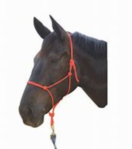 Roma Nylon Rope Headcollar
