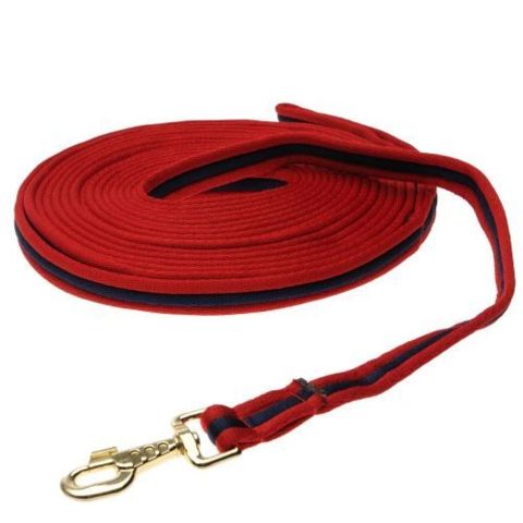 Kincade Two Tone Padded Lunge Rein