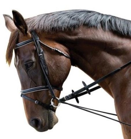 Kincade Elastic Chambon Training Strap