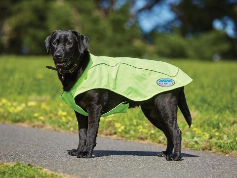 WeatherBeeta Reflective Exercise Dog Coat