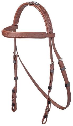 Hackamore Bridle