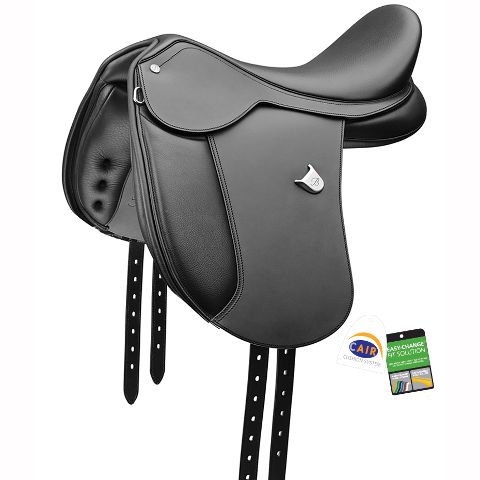Bates Pony Dressage