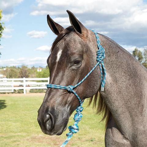 Saxon Two Tone Rope Headcollar & Lead Set